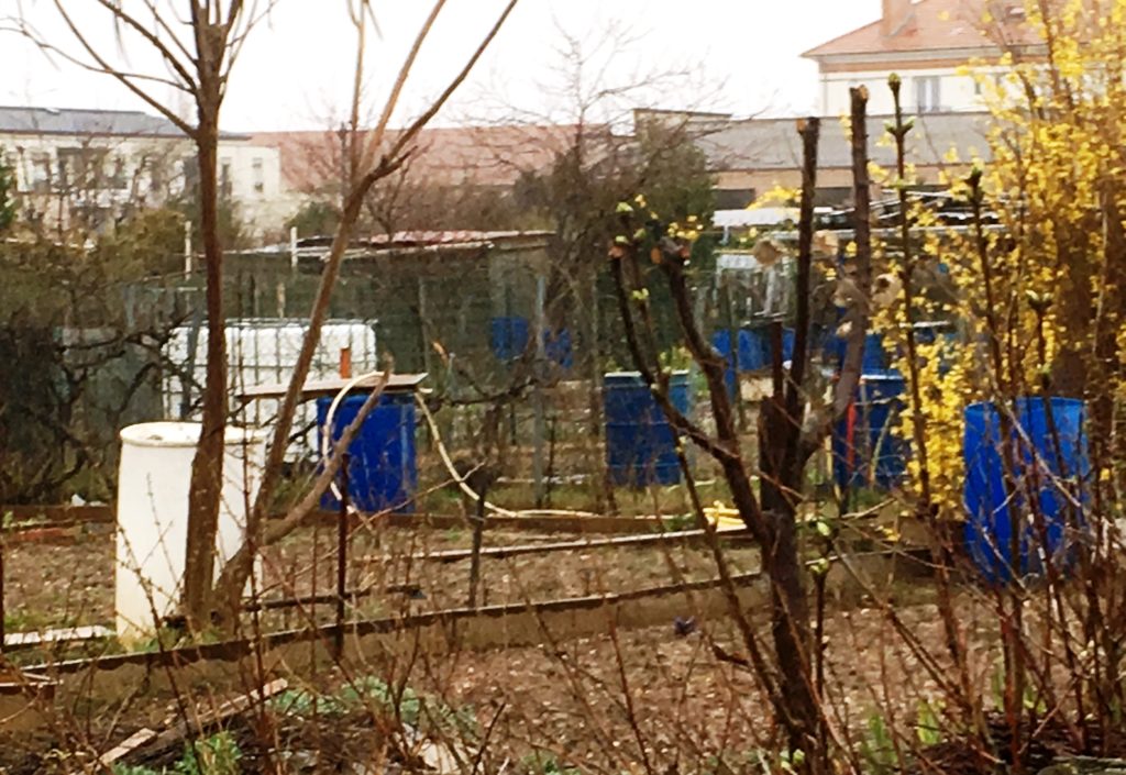 Emballages industriels en plastique bleu dans les jardins